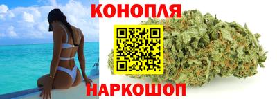 прущие грибы Малгобек