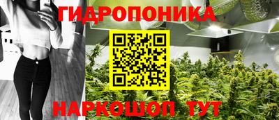 прущие грибы Малгобек